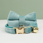 Petspuff Personalised Velvet Cat Collar with Bow & Bell – Engraved Name Tag | Kittens & Cats - Petspuff