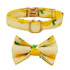 Petspuff Personalised Soft Cat Collar with Bow Tie – Safety Buckle & Engraved Name Tag | 8 Designs