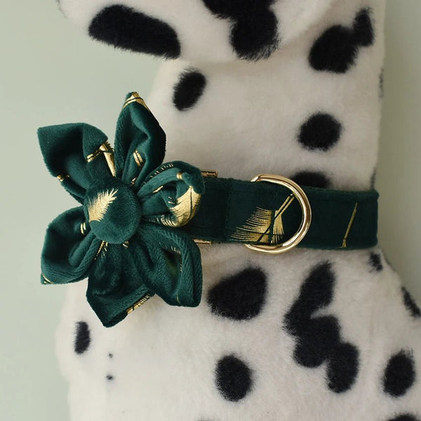 Petspuff Personalised Velvet Flower Dog Collar & Lead – Engraved Name Tag | Shiba Inu & Corgi, S–XL
