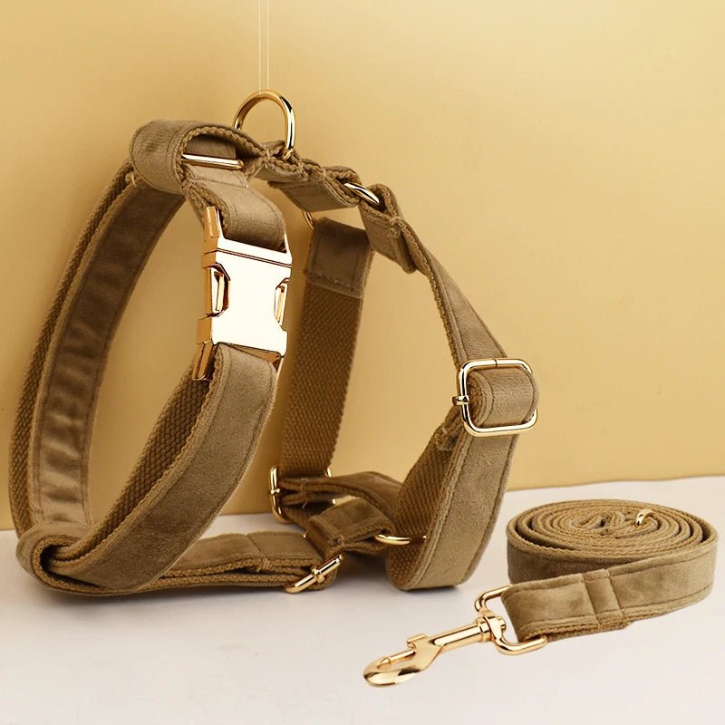 Petspuff Personalised Velvet Dog Harness & Lead Set – Heavy-Duty Metal Hardware | Many Colours - Petspuff