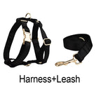 Petspuff Personalised Printed Satin Dog Collar & Lead Set – Engraved Name Tag, Bow & Harness - Petspuff