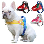 Petspuff Two-Tone Saddle Dog Harness – Reflective Padded Harness | Small to Large Dogs