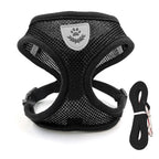 Petspuff Escape-Proof Cat Harness & Lead Set – Reflective Mesh Vest | Cats, Kittens & Small Dogs