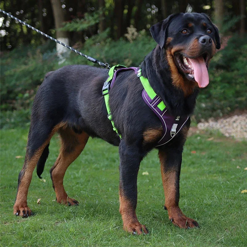 Petspuff No-Pull Dog Harness with Handle – Reflective Padded Vest | Small to Extra Large Dogs
