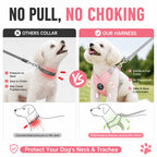 Petspuff Reflective Vest Harness & Lead Set – Padded Harness with Metal D-Ring | Small & Medium Dogs