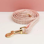 Petspuff Personalised Cat Collar & Lead Set with Bell – Engraved ID Tag | Kittens & Cats