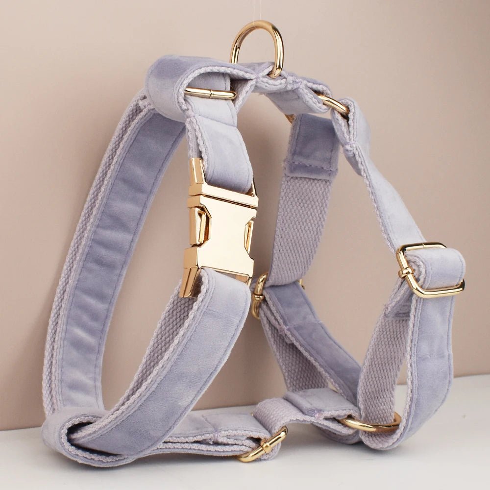 Petspuff Personalised Velvet Dog Harness & Lead Set – Heavy-Duty Metal Hardware | Many Colours - Petspuff