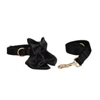 Petspuff Personalised Printed Satin Dog Collar & Lead Set – Engraved Name Tag, Bow & Harness - Petspuff