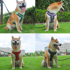 Petspuff Neoprene Padded Dog Harness with Handle – Reflective Vest | Small to Large Dogs