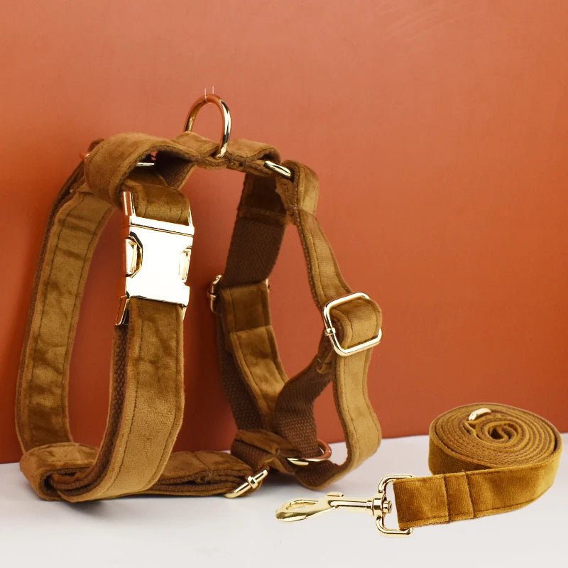 Petspuff Personalised Velvet Dog Harness & Lead Set – Heavy-Duty Metal Hardware | Many Colours - Petspuff