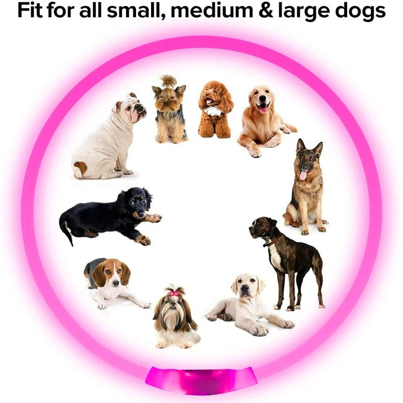 Petspuff USB Rechargeable LED Dog Collar – Glow Safety Light for Night Walks | Cut to Fit