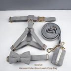 Petspuff Personalised Light Grey Corduroy Dog Collar & Lead Set – Engraved Name Tag, Bow & Harness