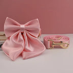 Petspuff Personalised Pink Print Dog Collar & Lead for Medium & Large Dogs – Engraved Name Tag & Bow