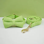 Petspuff Personalised Apple Green Corduroy Dog Collar & Lead Set – Engraved Name Tag, Bow & Harness
