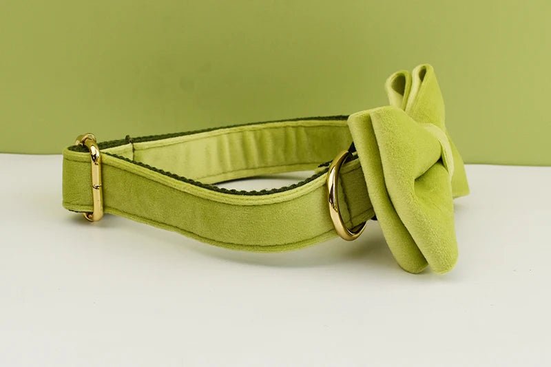 Petspuff Personalised Avocado Green Velvet Dog Collar & Lead Set – Engraved Name Tag, Bow & Harness - Petspuff