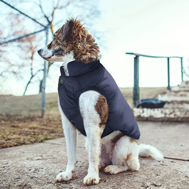 Petspuff Windproof Plaid Fleece Dog Coat – Warm Winter Jacket | Small, Medium & Large Dogs