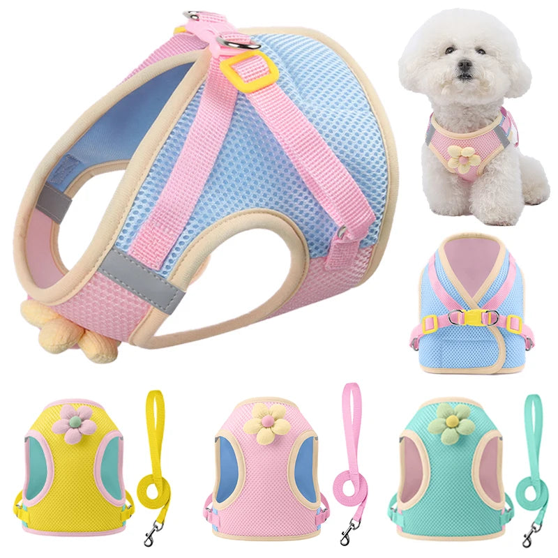 Petspuff Floral Mesh Harness & Lead Set – Breathable Vest Harness | Small Dogs, Puppies & Cats