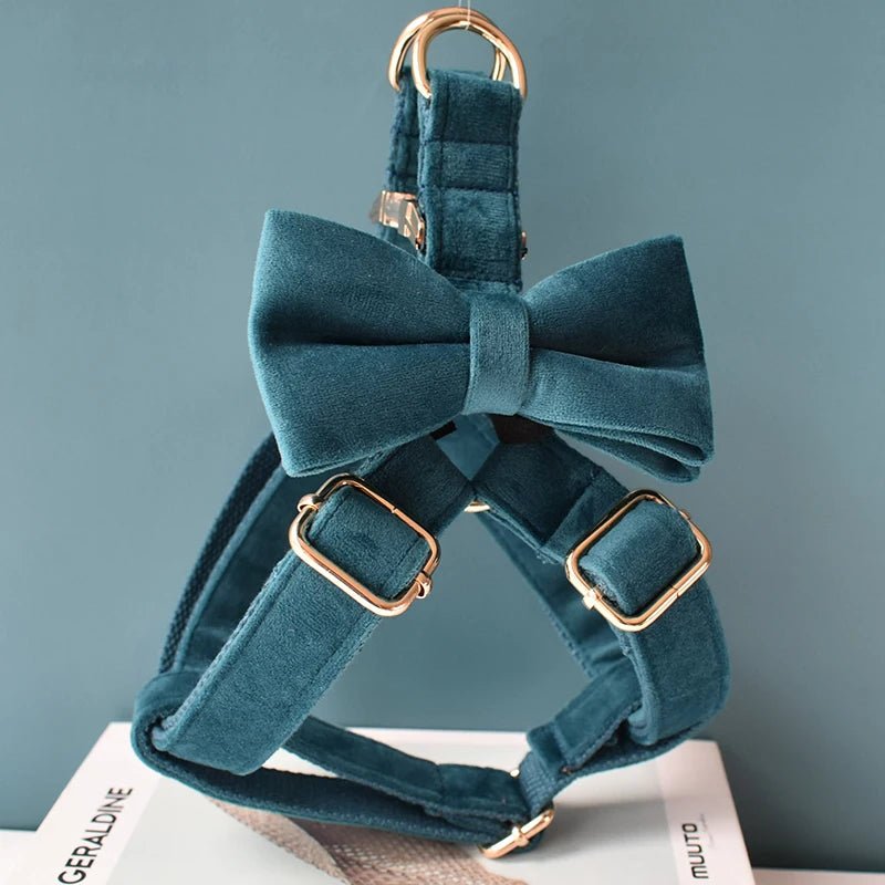 Petspuff Personalised Velvet Dog Harness with Bow & Lead – Engraved ID Tag, Gold Hardware - Petspuff