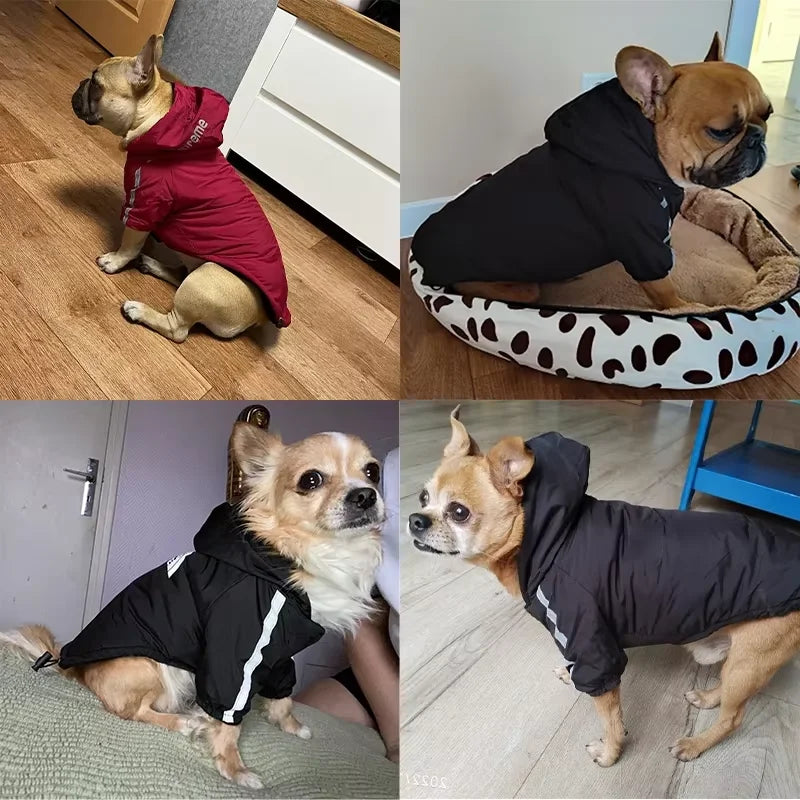 Petspuff Waterproof Reflective Dog Jacket – Fleece-Lined Winter Coat | Small & Medium Dogs