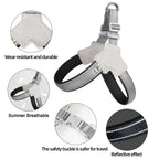 Petspuff Adjustable Hiking Dog Harness – Reflective Breathable Chest Strap | Small to Large Dogs