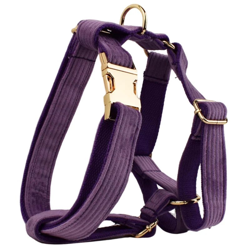 Petspuff Personalised Corduroy Dog Collar & Lead Set – Engraved Name Tag, Bow, Harness & Poop Bag