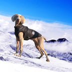 Petspuff Waterproof Dog Coat with Built-In Harness – Fleece-Lined Winter Jacket | Small to Extra Large Dogs