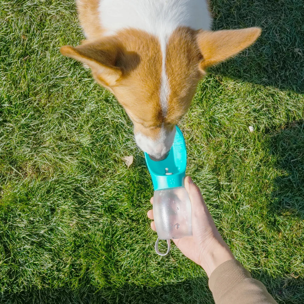 Petspuff 300ml Dog Water Bottle – Frosted Leakproof Walking Bottle | Dogs & Cats