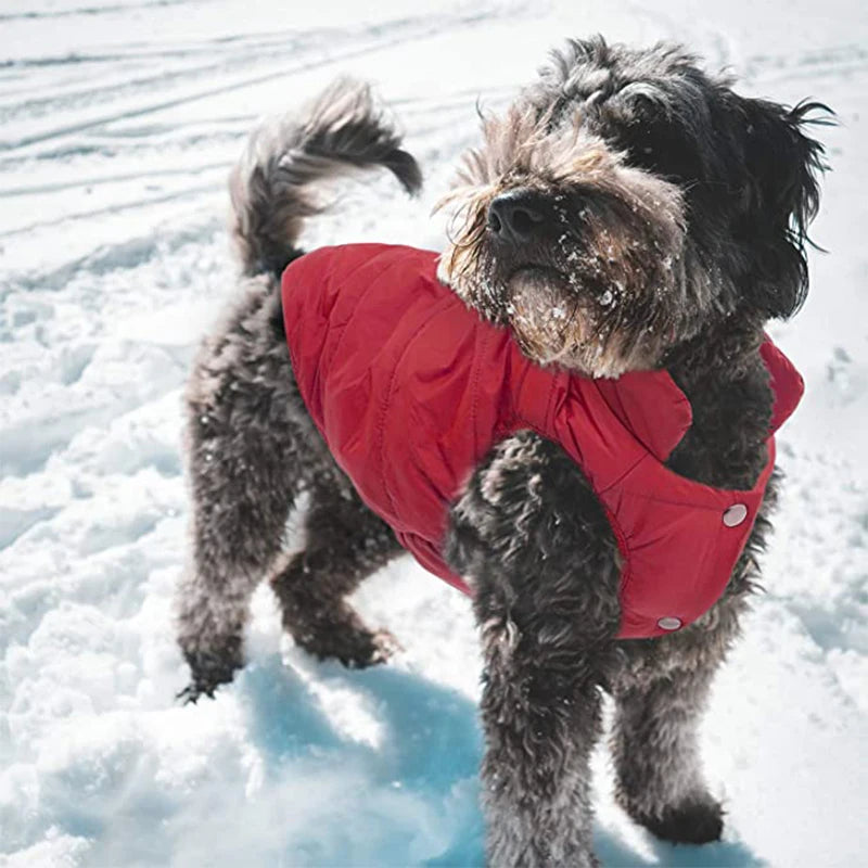 Petspuff Windproof Plaid Fleece Dog Coat – Warm Winter Jacket | Small, Medium & Large Dogs