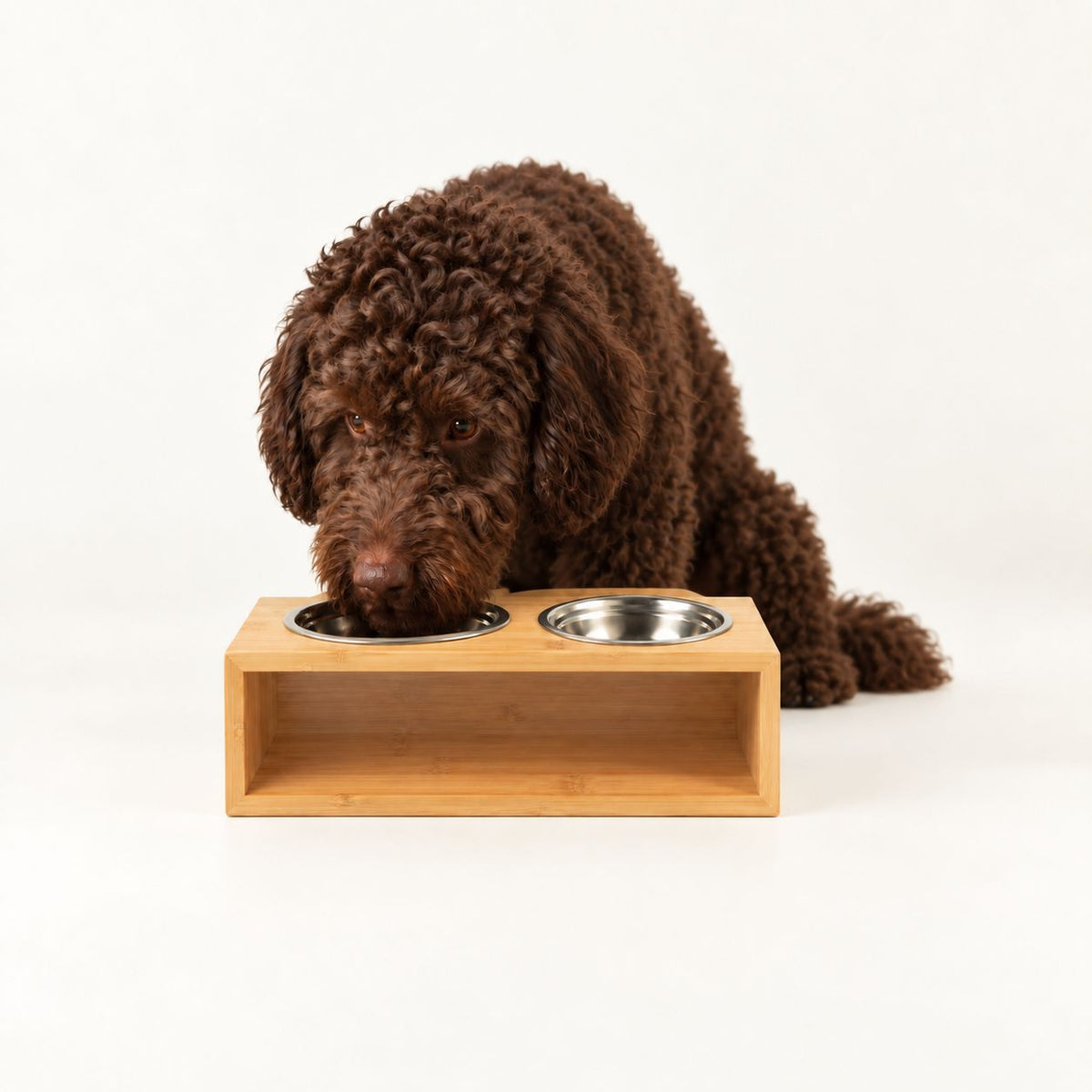 Petspuff Double Stainless Steel Pet Bowls in Wooden Stand – Raised Food & Water Station | Large 2 × 13cm