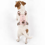 Petspuff Gemstone Guardian Step-in Dog Harness – Reflective, Rose Quartz Charm | Soft Pink, S 4–8kg