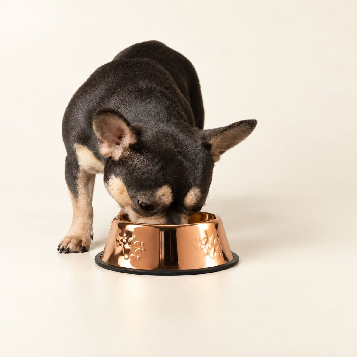 Petspuff Copper-Style Stainless Steel Pet Bowl – Paw Print Food & Water Bowl | 18cm