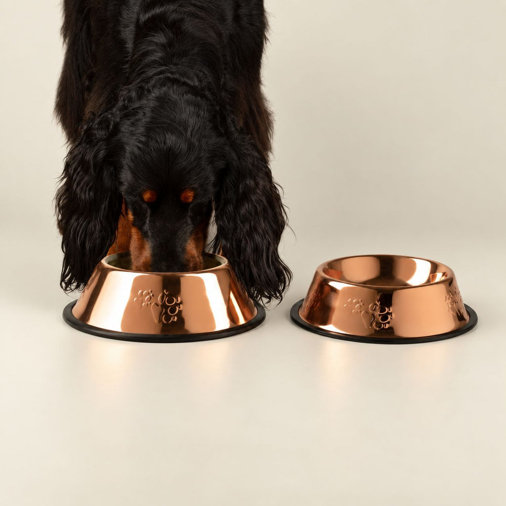 Petspuff Copper-Style Stainless Steel Pet Bowl – Paw Print Food & Water Bowl | 22cm