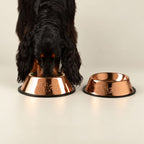 Petspuff Copper-Style Stainless Steel Pet Bowl – Paw Print Food & Water Bowl | 22cm
