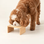 Petspuff Ceramic Pet Bowl in Wooden Stand – Raised Cream Feeder for Cats & Dogs | 14cm
