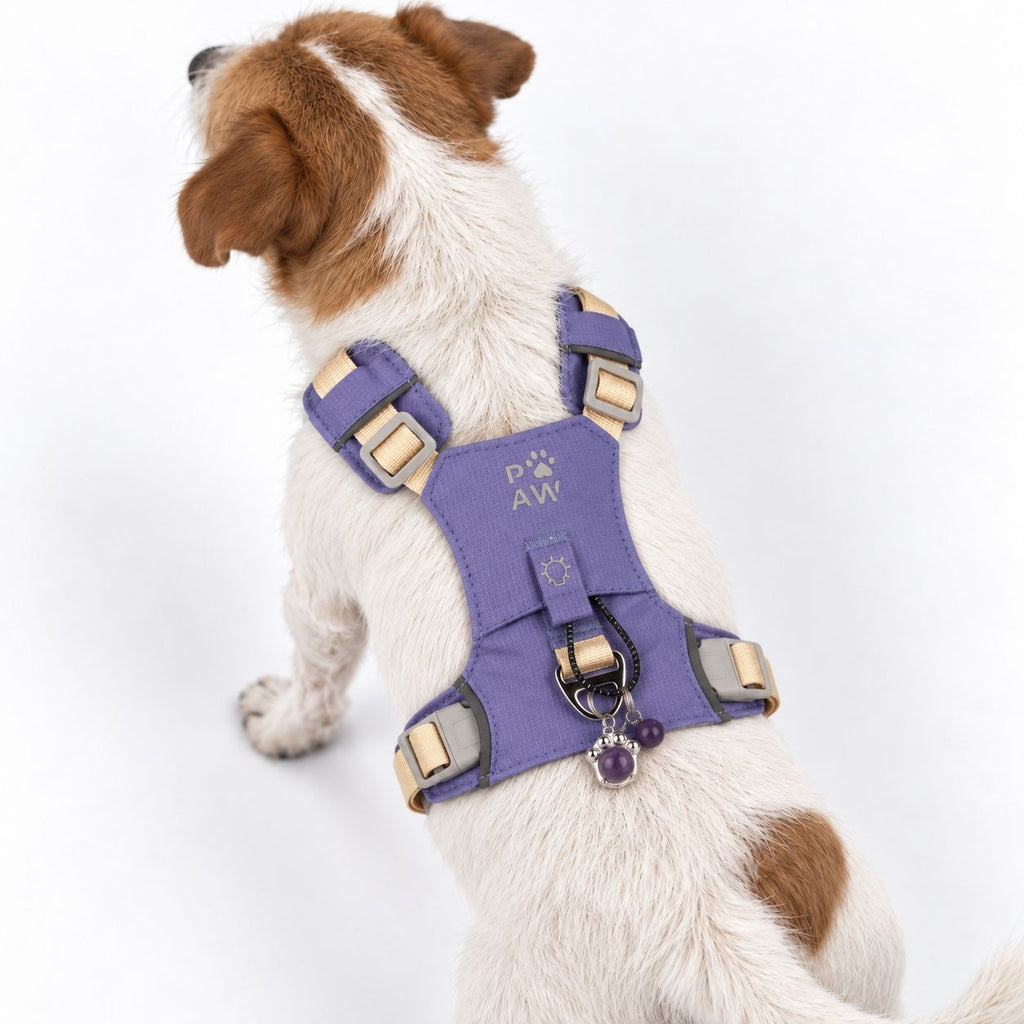 Petspuff Gemstone Guardian Step-in Dog Harness – Reflective, Amethyst Charm | Lavender, S 4–8kg