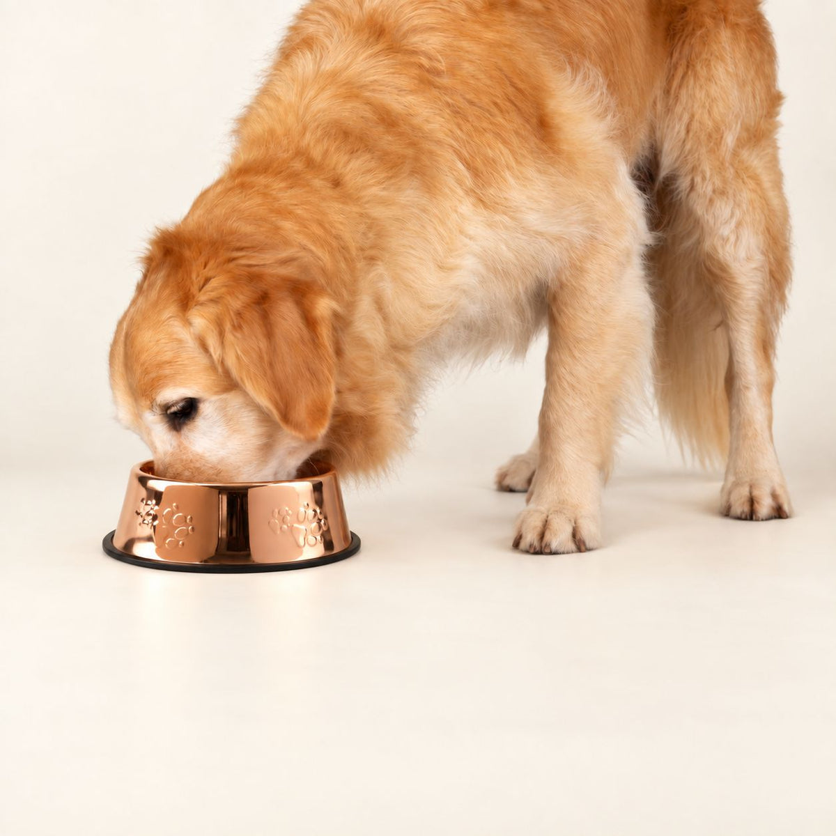 Petspuff Copper-Style Stainless Steel Pet Bowl – Paw Print Food & Water Bowl | 22cm