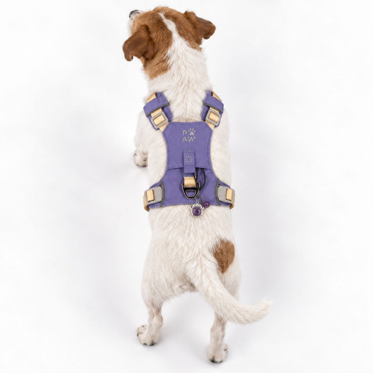 Petspuff Gemstone Guardian Step-in Dog Harness – Reflective, Amethyst Charm | Lavender, S 4–8kg