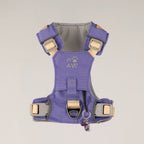 Petspuff Gemstone Guardian Step-in Dog Harness – Reflective, Amethyst Charm | Lavender, XS 2–4kg