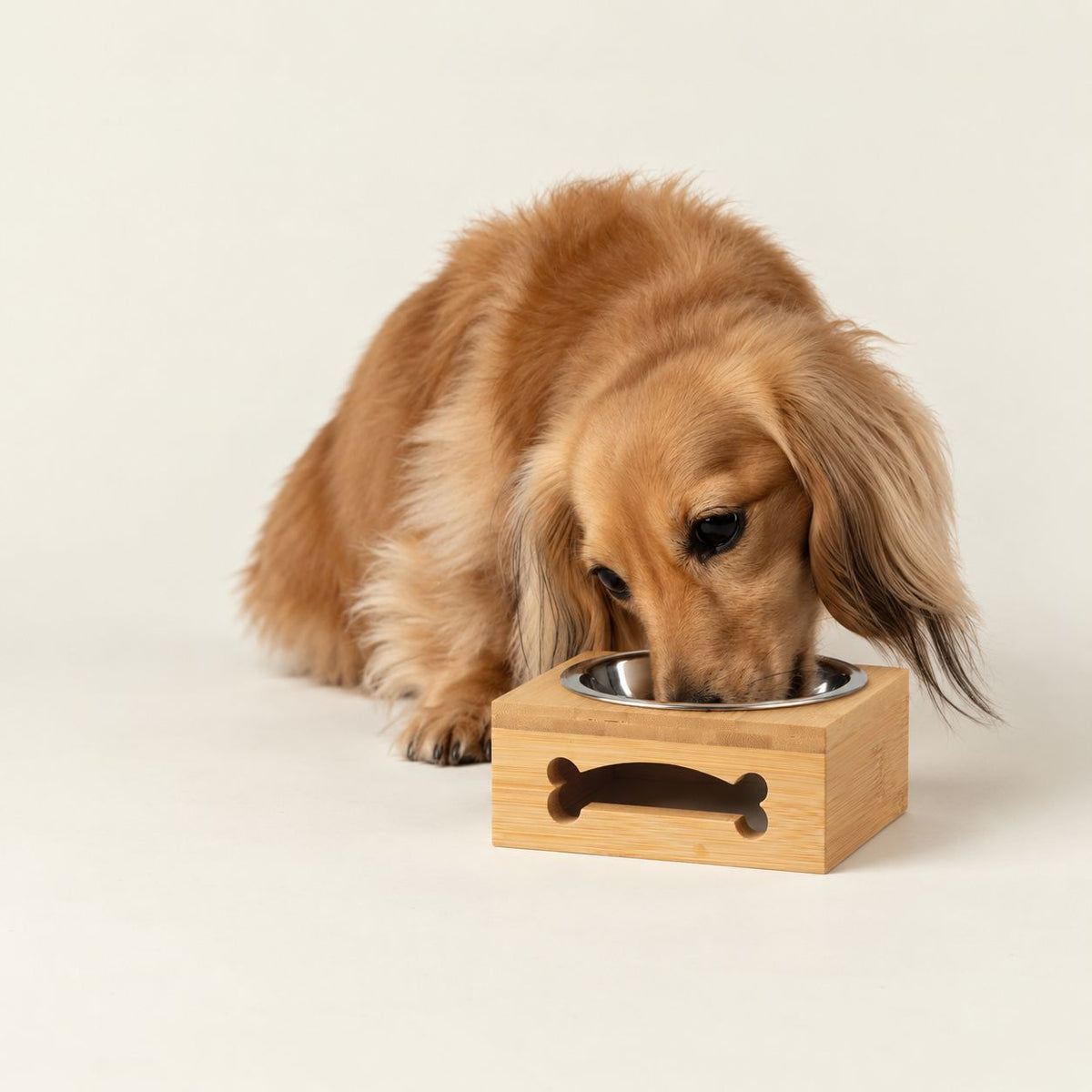 Petspuff Stainless Steel Pet Bowl in Wooden Stand – Raised Feeder for Cats & Small Dogs | 12cm