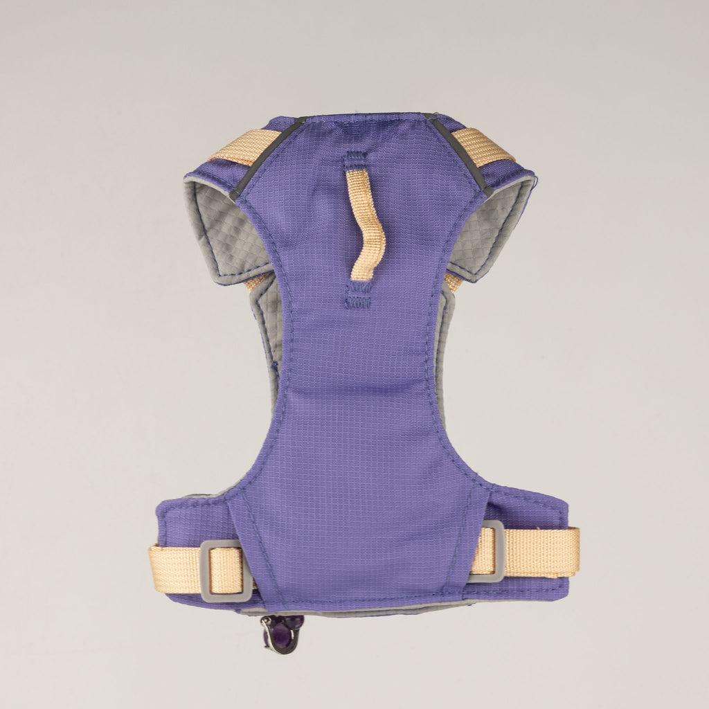 Petspuff Gemstone Guardian Step-in Dog Harness – Reflective, Amethyst Charm | Lavender, XS 2–4kg