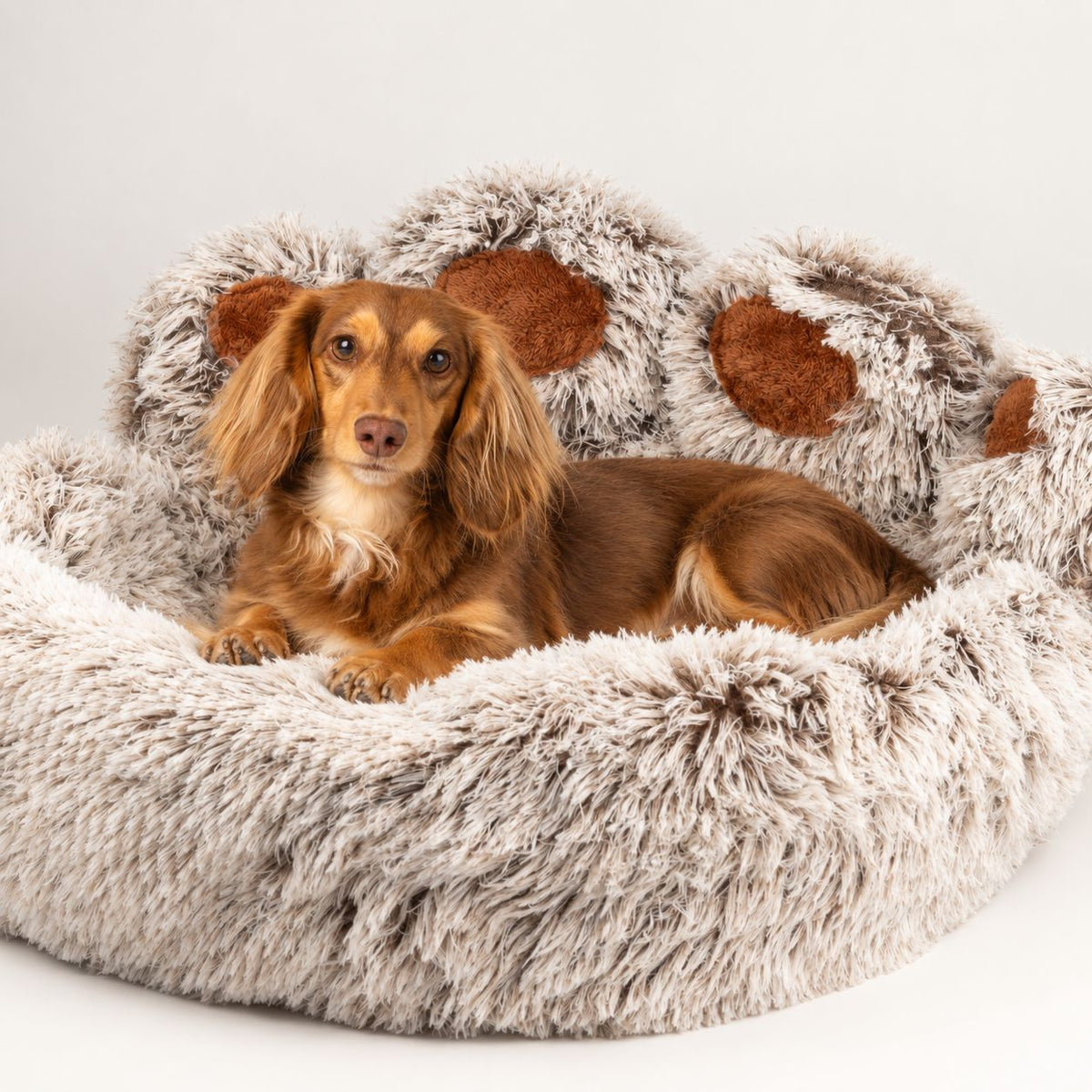 Petspuff Big Paw Fluffy Pet Bed – Shaggy Calming Nest Bed | Large 70cm, Cats & Small Dogs