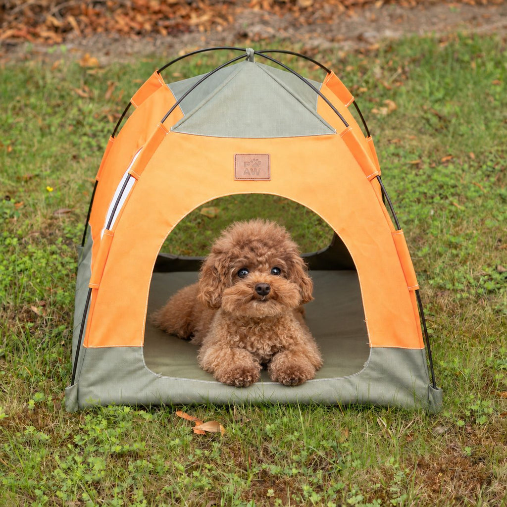 Petspuff Cosy Pet Tent Bed – Covered Hideaway Den with Cushion | Green & Orange, 48cm