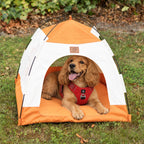 Petspuff Cosy Pet Tent Bed – Covered Hideaway Den with Cushion | Beige & Orange, 58cm