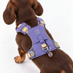 Petspuff Gemstone Guardian Step-in Dog Harness – Reflective, Amethyst Charm | Lavender, XS 2–4kg