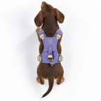 Petspuff Gemstone Guardian Step-in Dog Harness – Reflective, Amethyst Charm | Lavender, XS 2–4kg