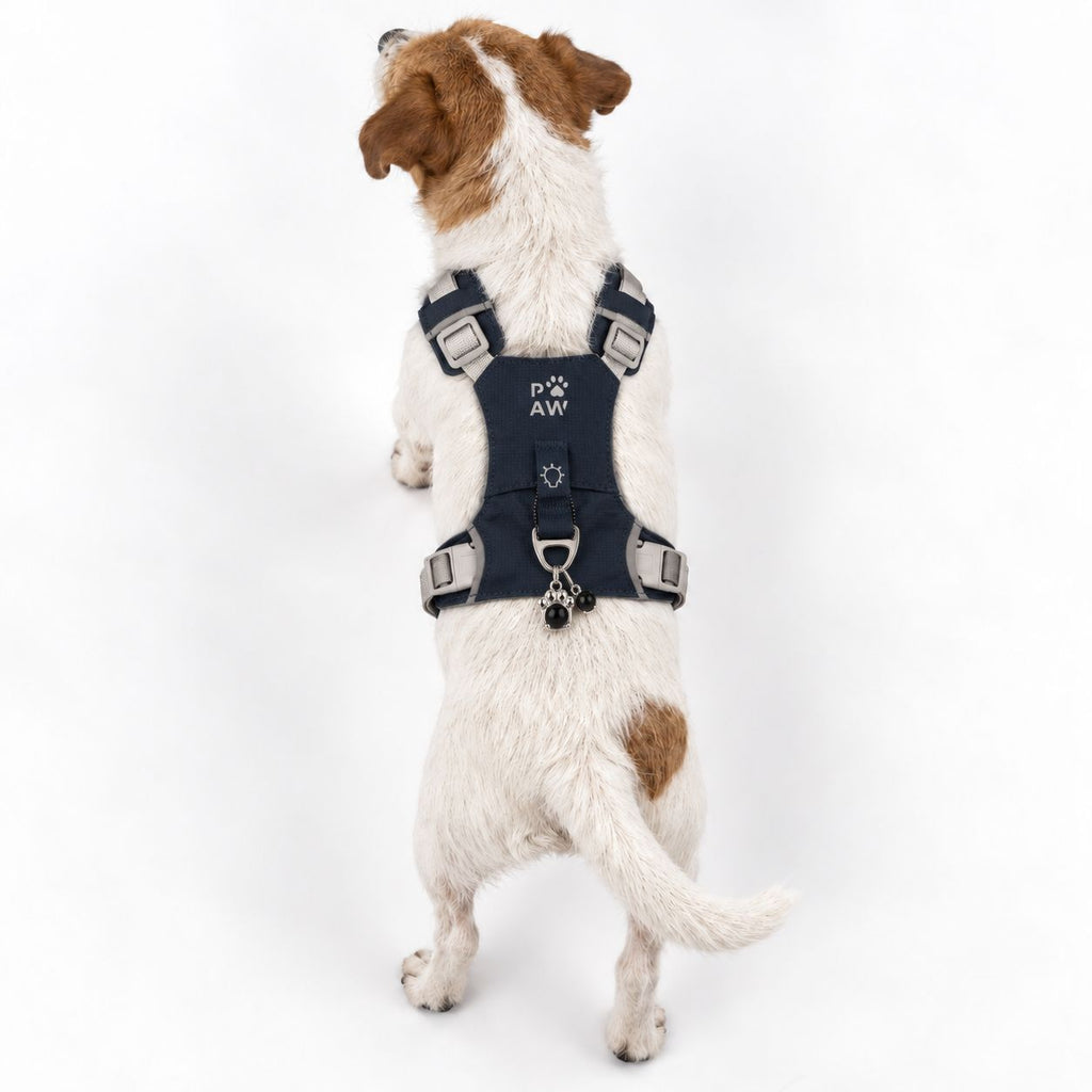 Petspuff Gemstone Guardian Step-in Dog Harness – Reflective, Black Obsidian Charm | Rock Grey, S 4–8kg