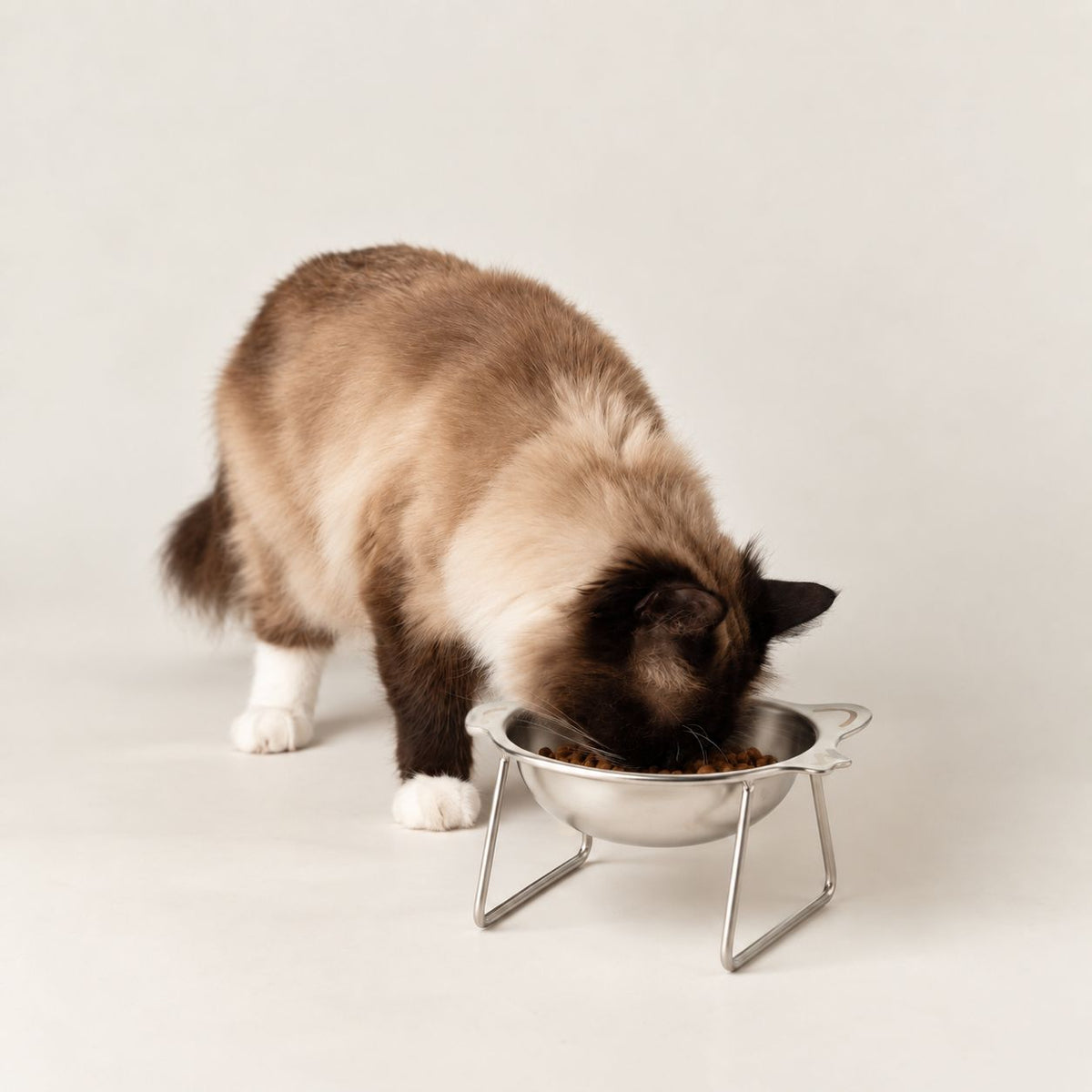 Petspuff Cat Face Stainless Steel Cat Bowl – Raised Food & Water Bowl with Stand