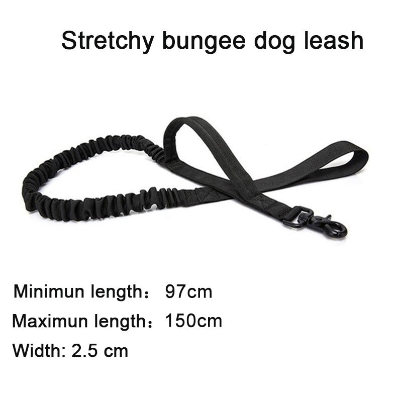 Tactical Dog Collar Set