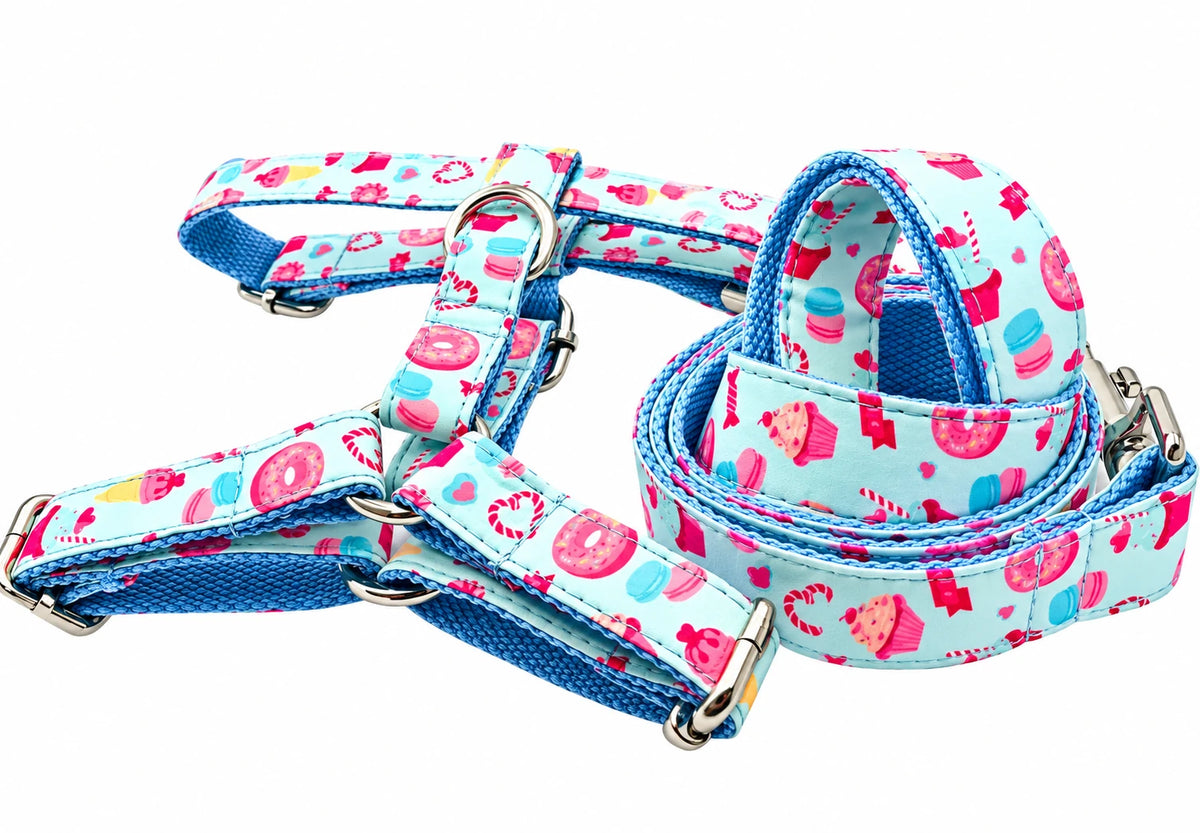 Petspuff Donut Bonut Print Step-In Harness & Lead Set – 2 Piece | Small Dogs, Puppies & Cats