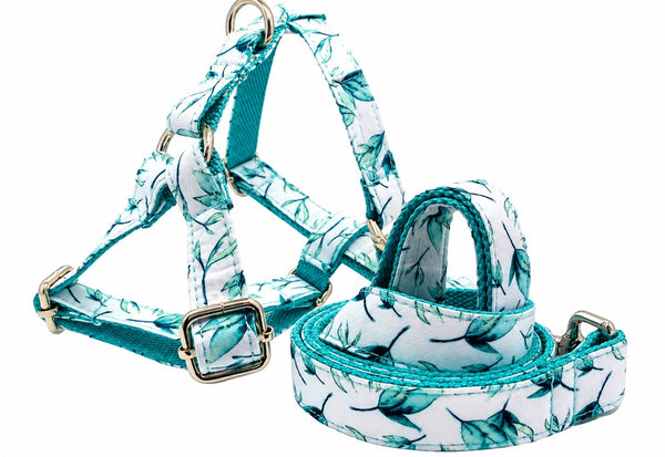 Petspuff Mint Leaf Step-In Harness & Lead Set – 2 Piece | Small Dogs, Puppies & Cats